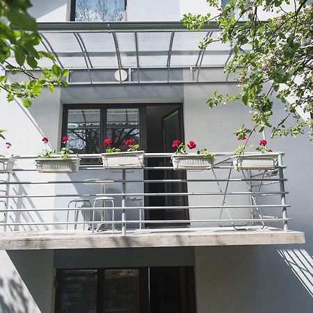 Guest House Sokodream Сокобаня Екстер'єр фото
